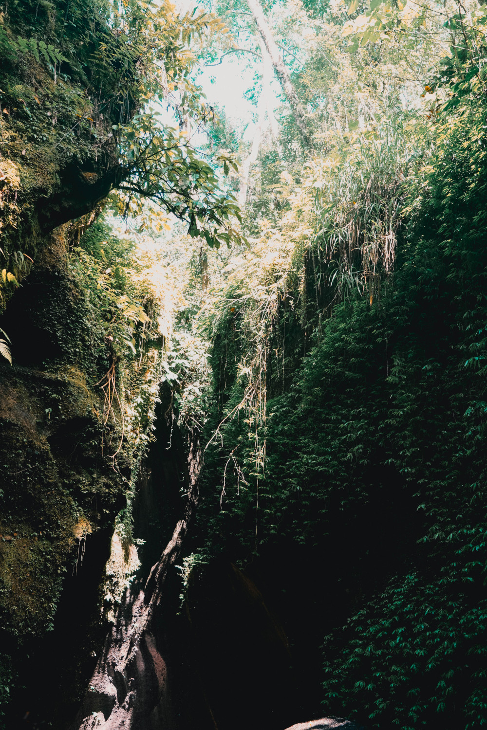 Tukad Cepung Waterval