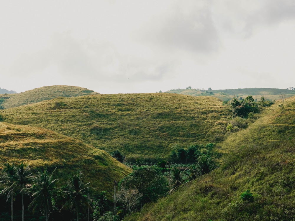 Teletubbies Hill