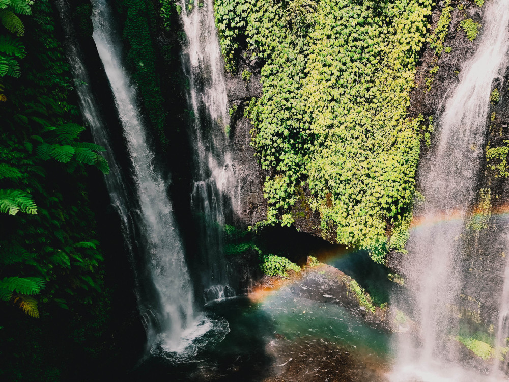 Fiji Waterval