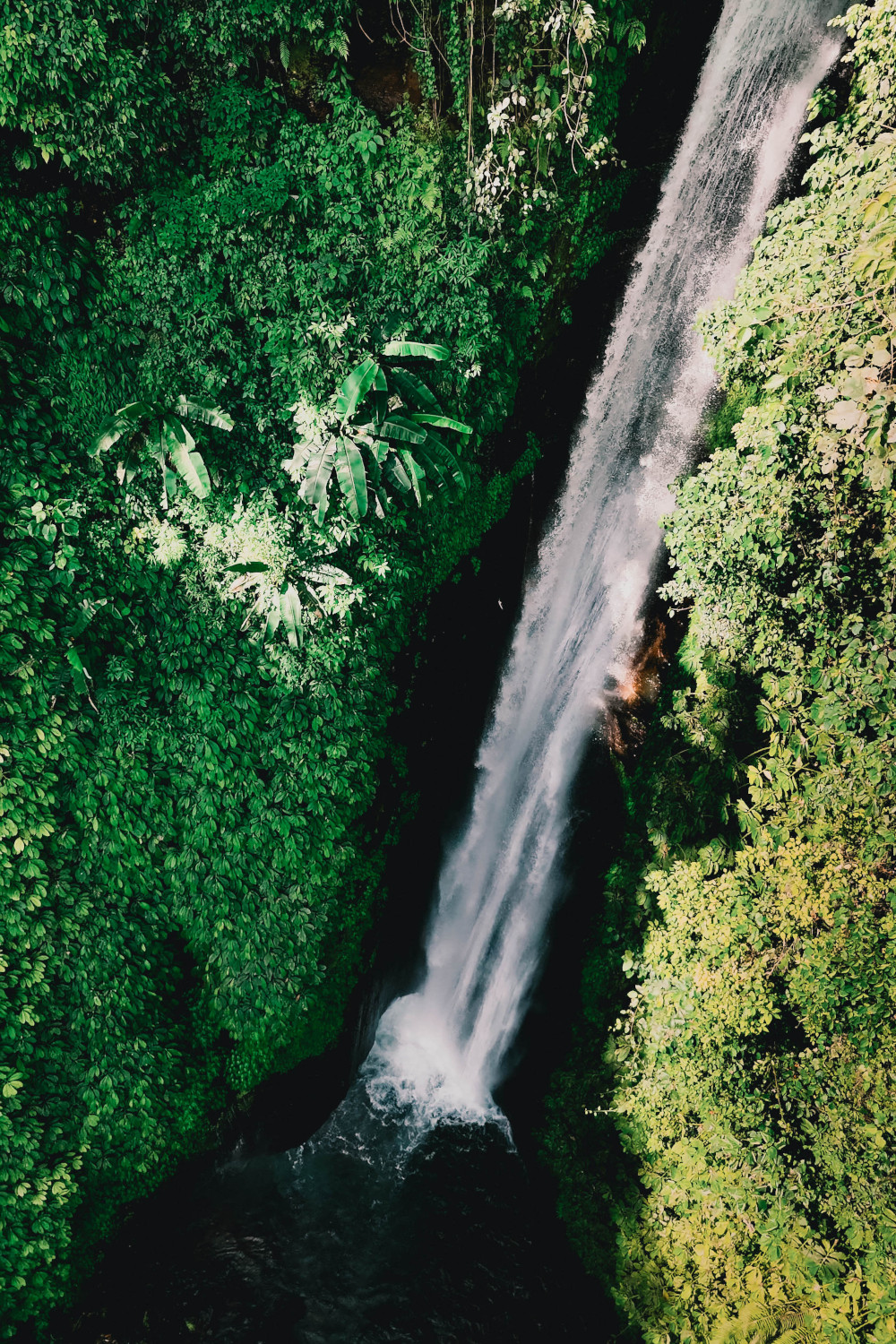 Red Coral Waterfall