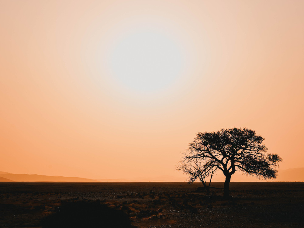 Dune 45 bij zonsondergang