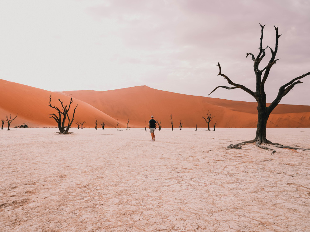 Deadvlei