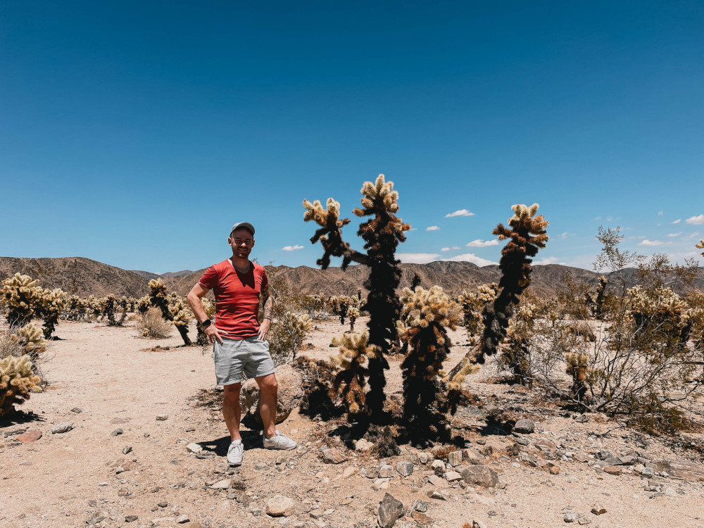 Joshua Tree Park