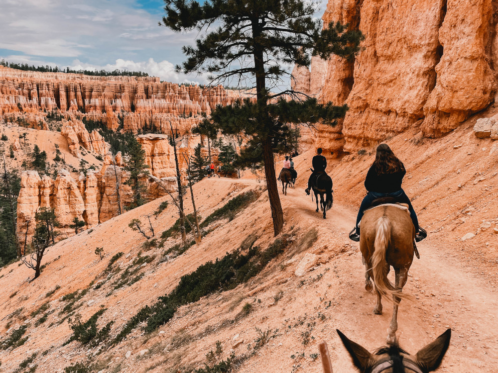 Bryce Canyon horses tour