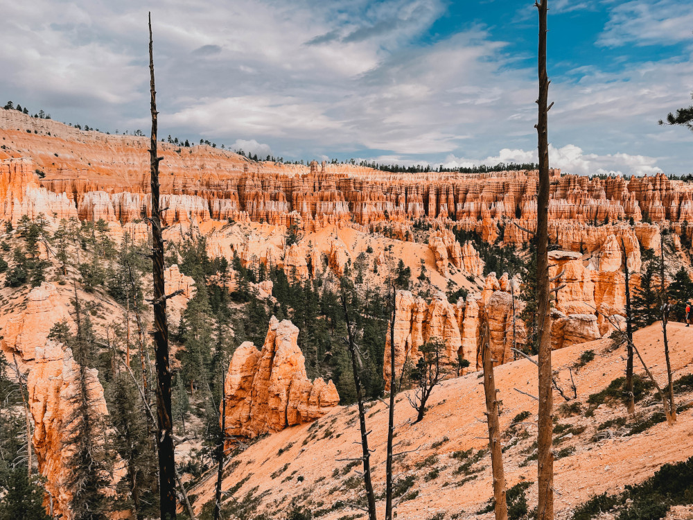 Bryce Canyon horses tour