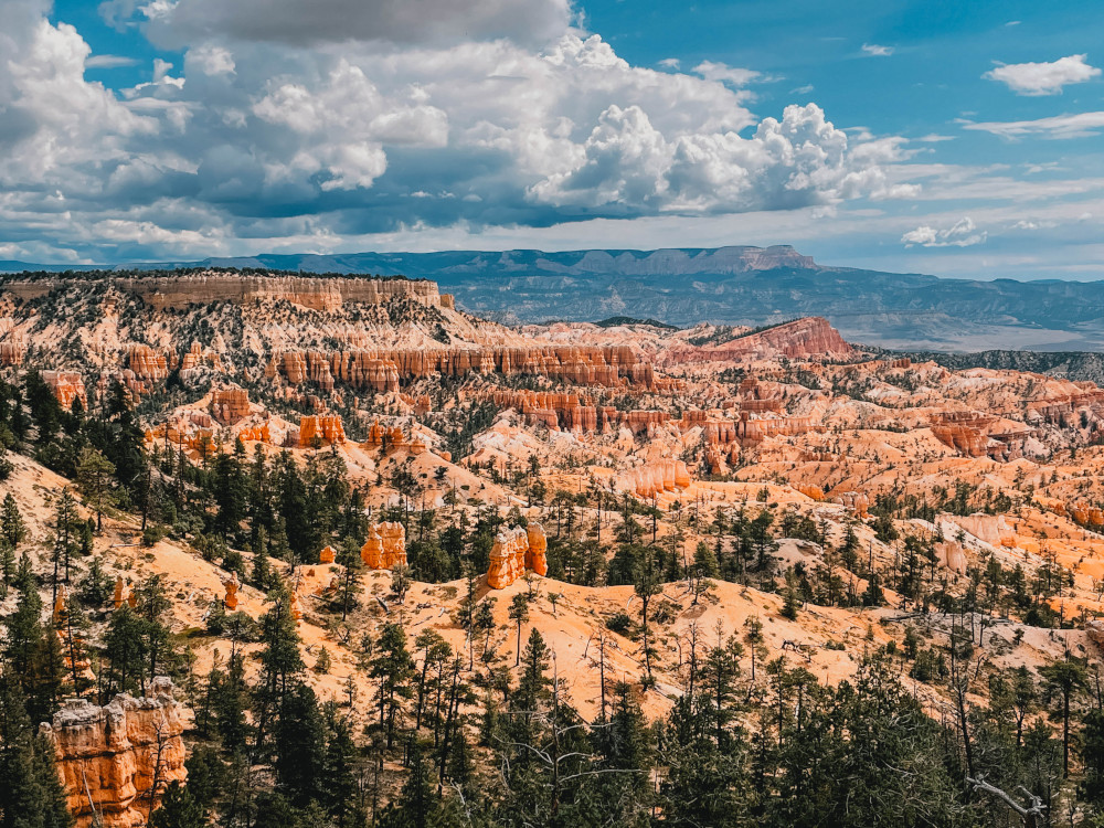 Bryce Canyon Overlook