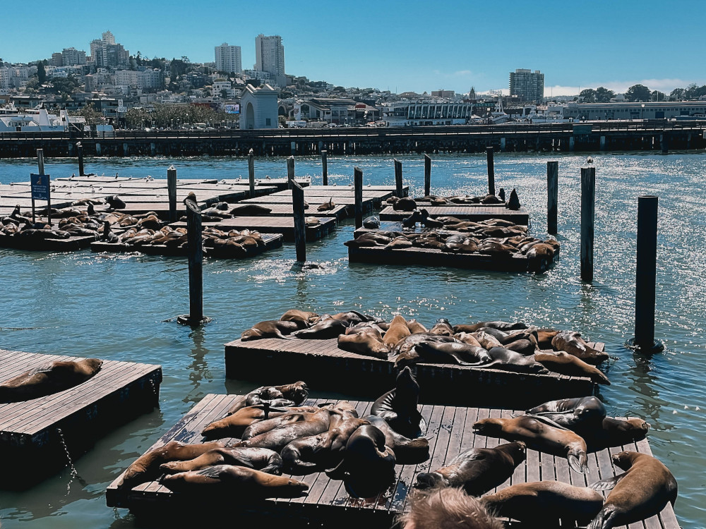 Fishermans Wharf