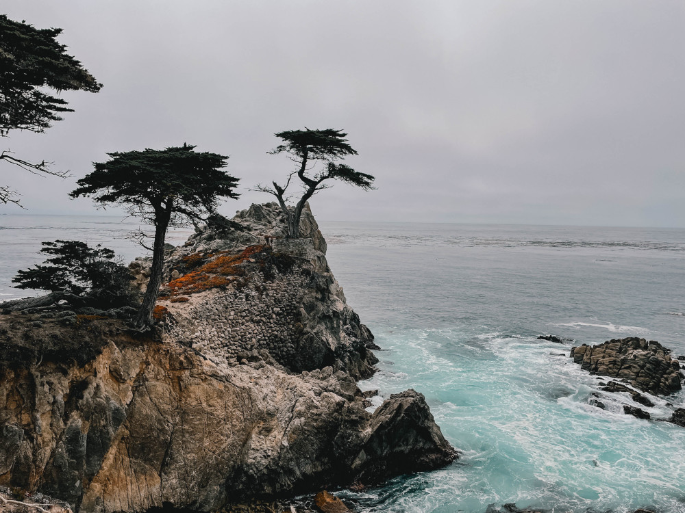 17-Mile-Drive - Lone Cypress