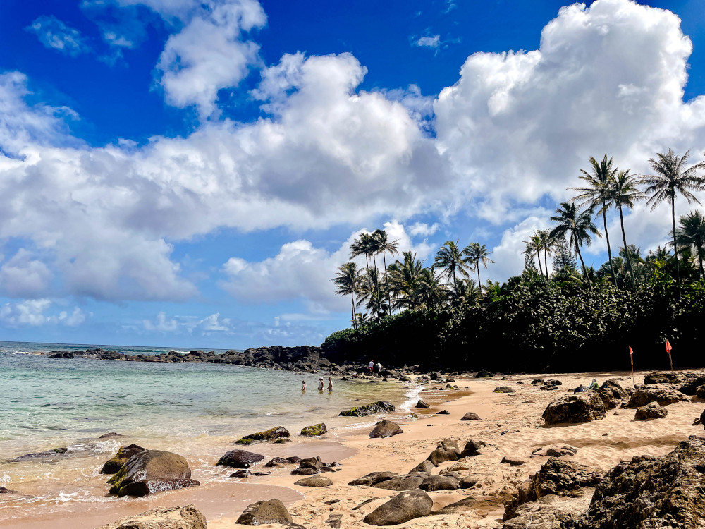 Laniakea Beach