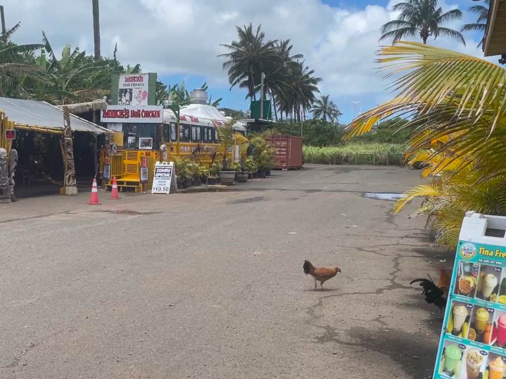 Food Trucks - Kahuku