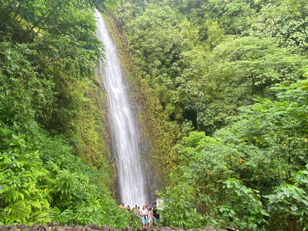 Manoa Falls Trail