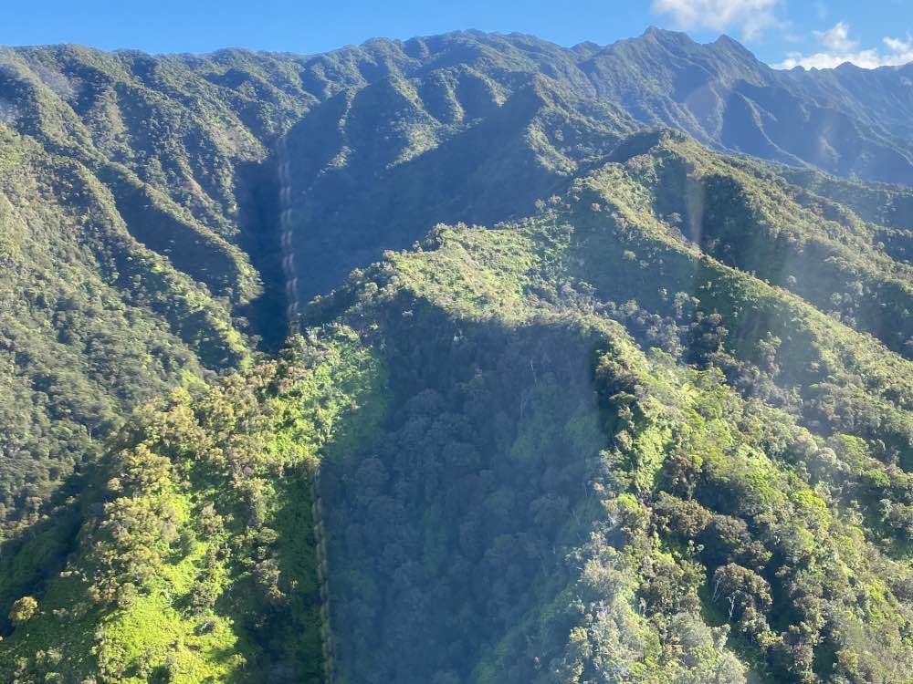 Helikoptervlucht over Waimea Canyon