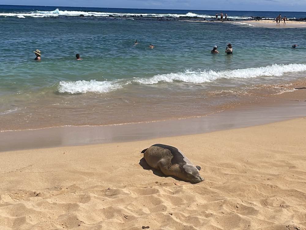 Poipu Beach