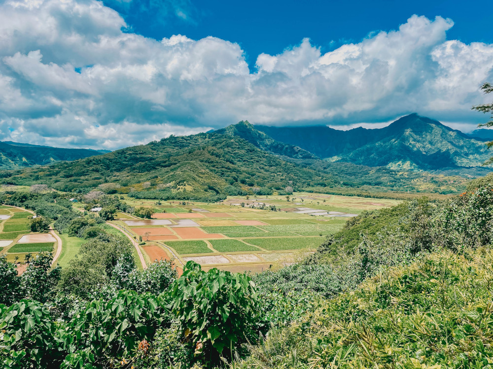 Hanalei Valley Lookout