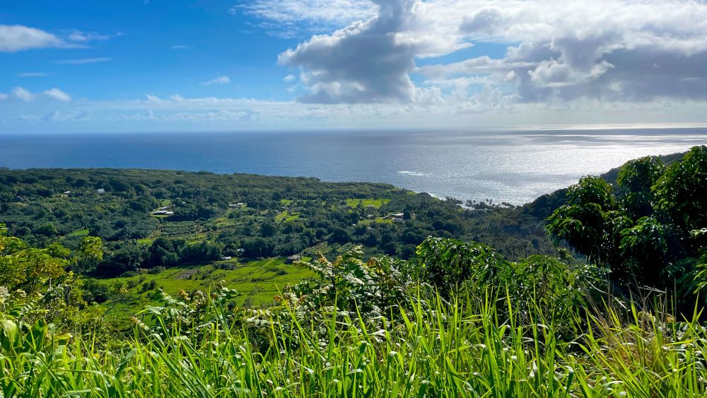 Wailua Valley State Wayside