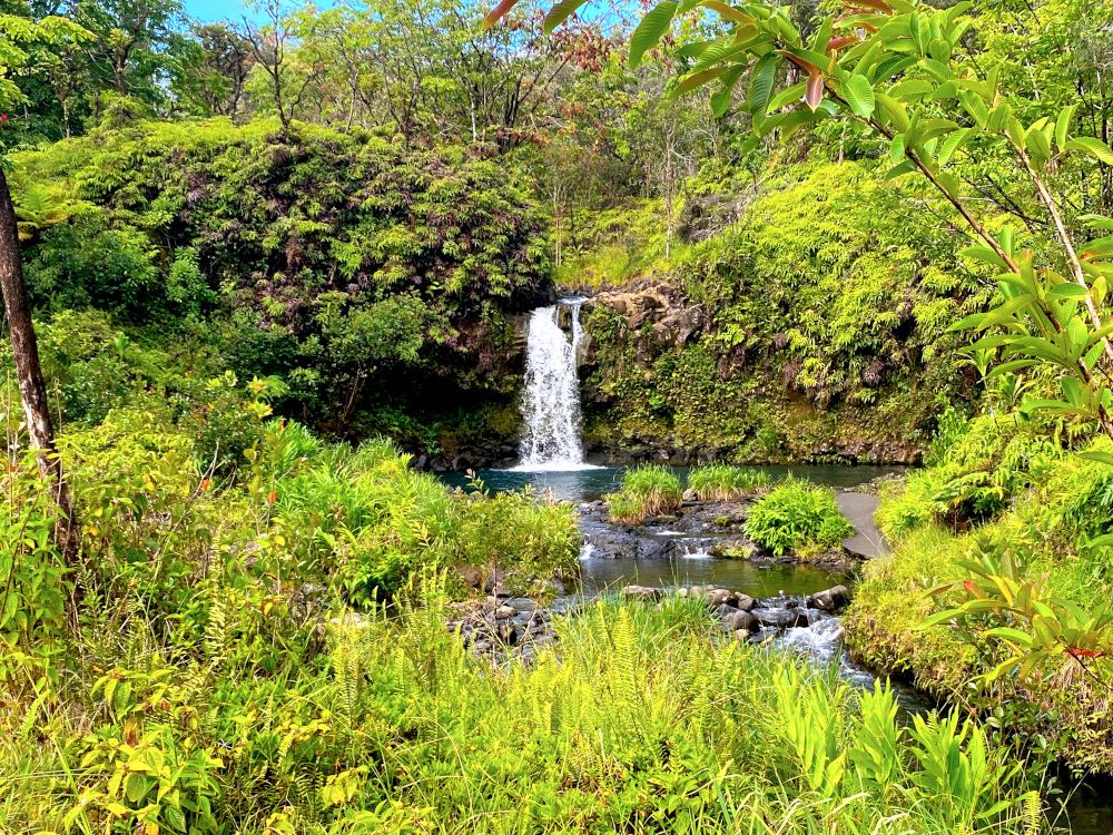 Pua'aka'a State Park