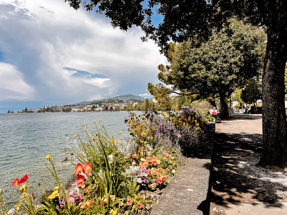 Montreux Boulevard