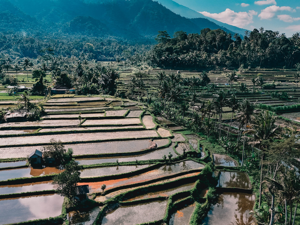 Sibetan Rice Terraces