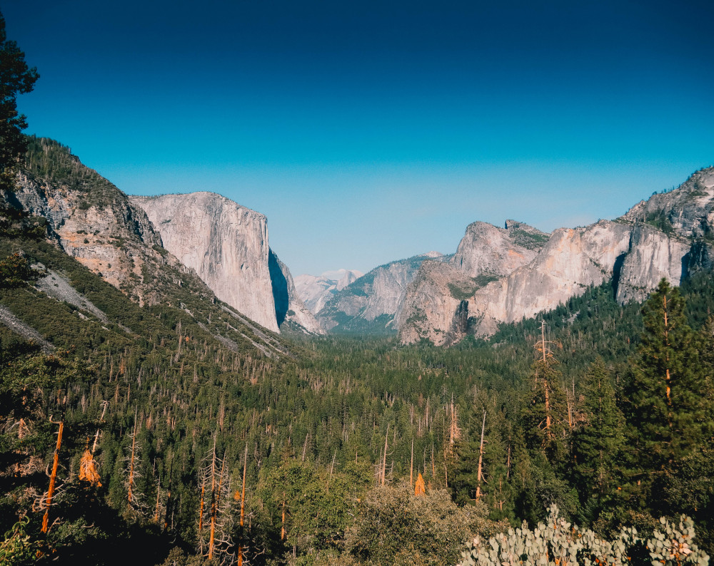 Badge - Yosemite