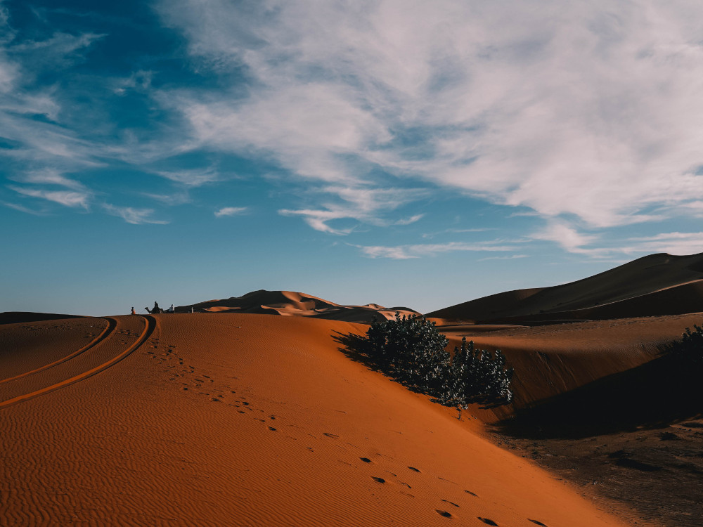 Badge - Merzouga