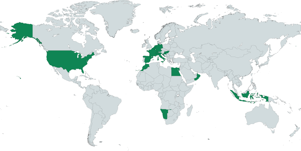 World Map